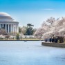 Upcoming 2012 Tax Auctions: The DC Tax Lien Sale